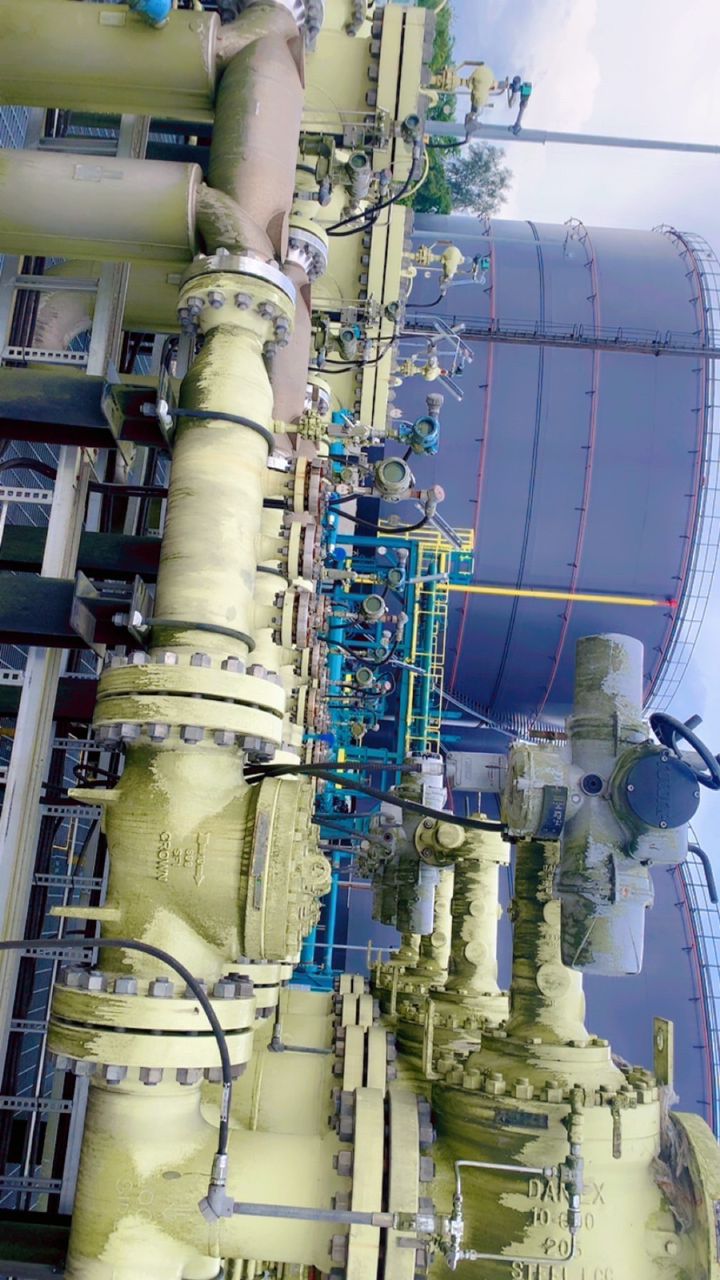 Jude Elswitch clientele site photo 4